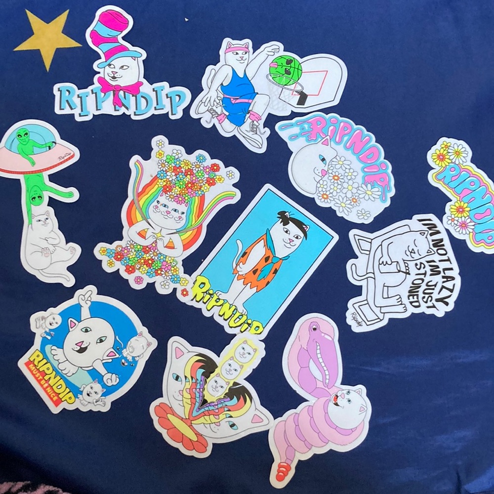 11 Special RIPNDIP Stickers!! 🖤🖕